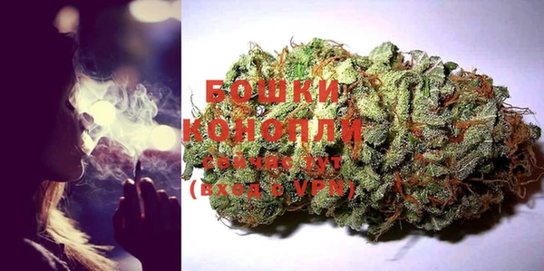 прущая мука Арсеньев