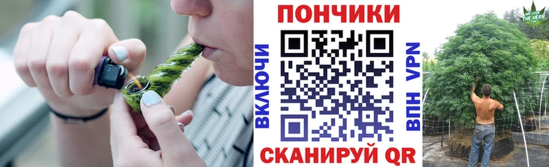 Шишки марихуана Amnesia  Топки 